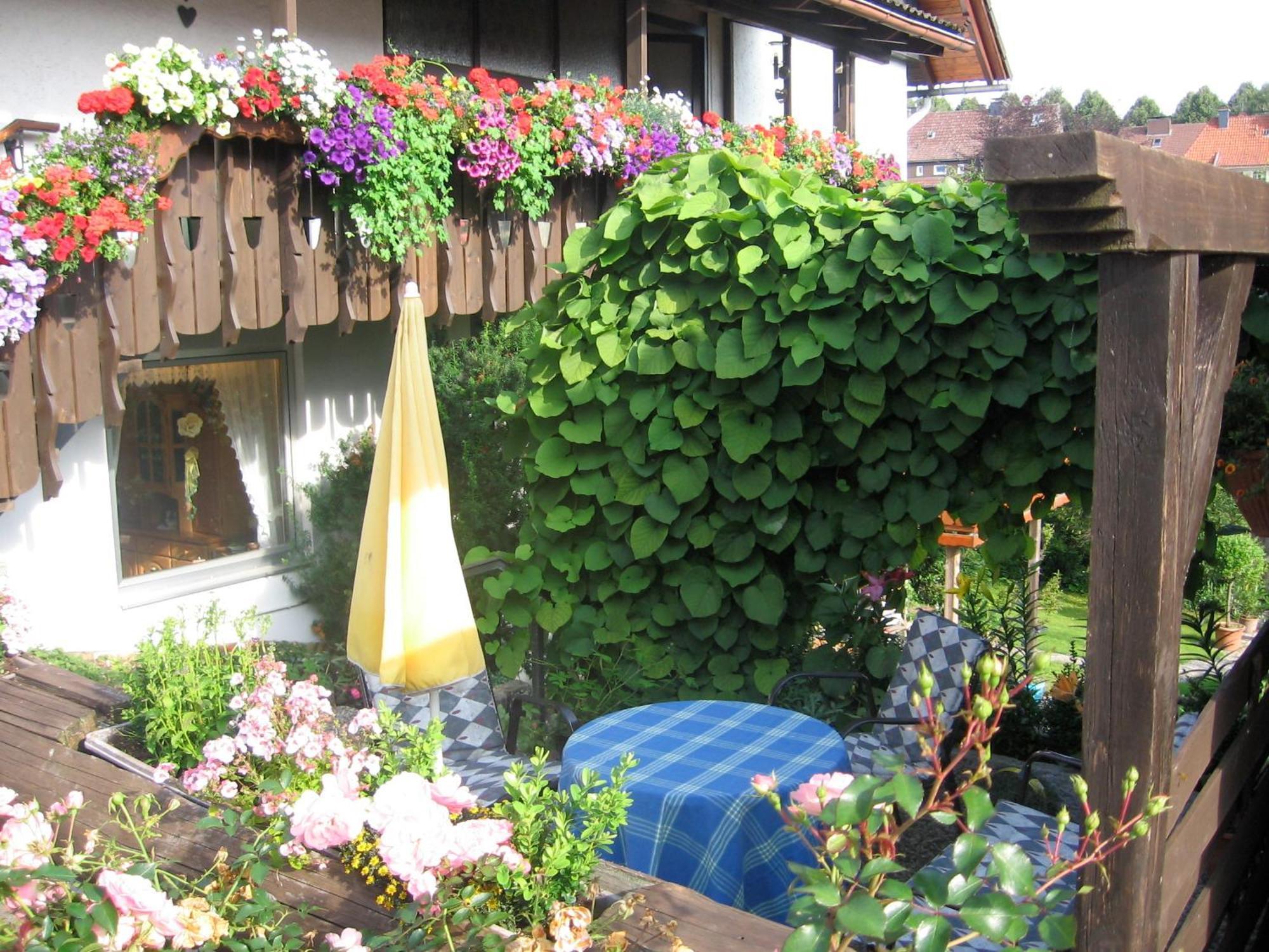 Apartmenthaus - Haus Am Schultal, Braunlage Exterior foto
