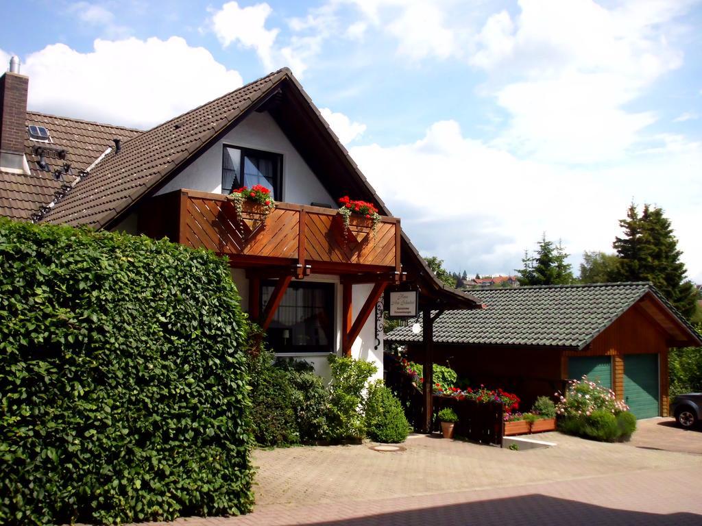Apartmenthaus - Haus Am Schultal, Braunlage Exterior foto
